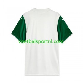 Palmeiras Uit Shirt 2025